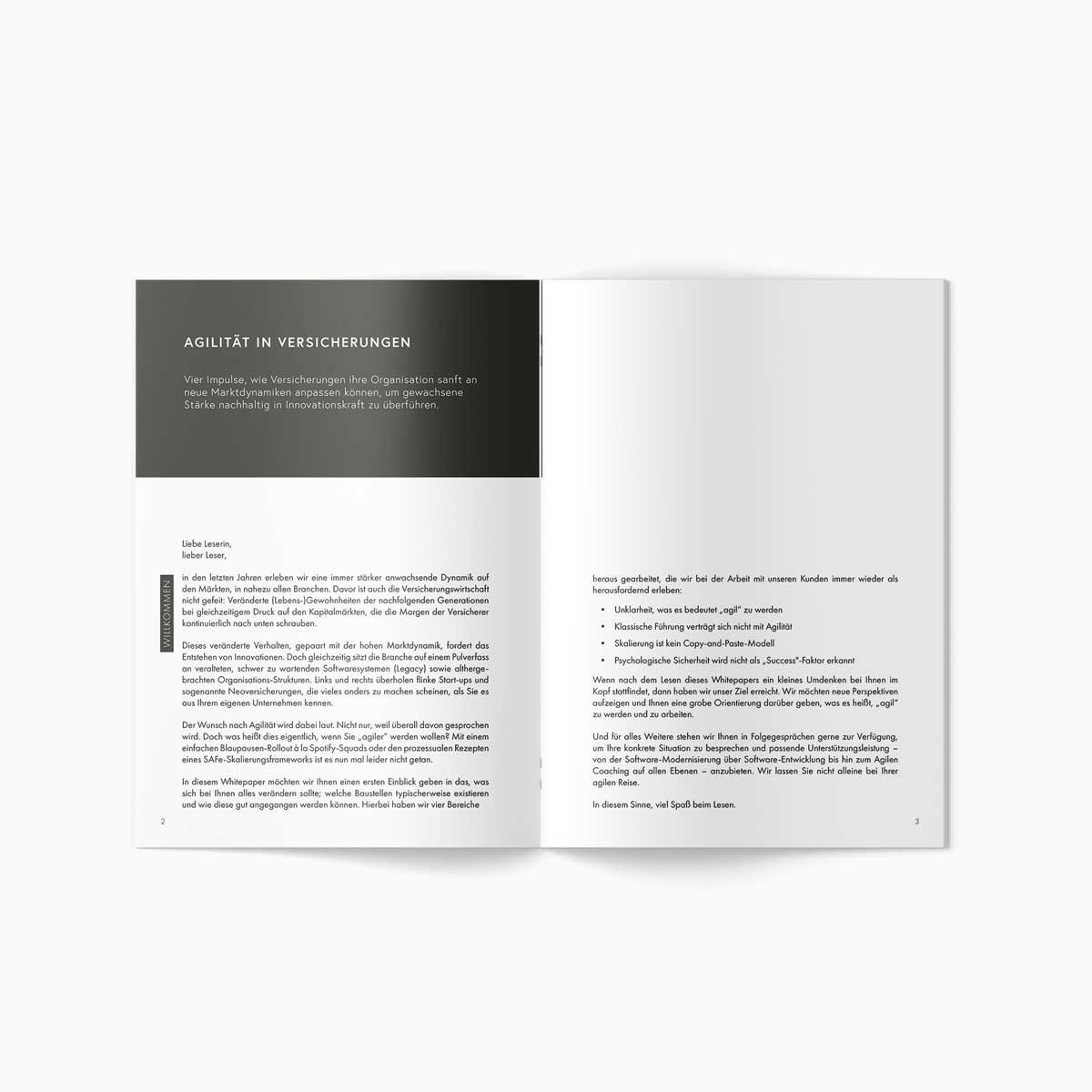 whitepaper-agile-versicherungen-1 whitepaper-agile-versicherungen-1